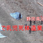 静岡県沼津市の海岸で赤ちゃんが焼かれて亡くなる事件…犯人が許せない!