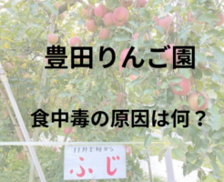 豊田りんご園　食中毒　原因