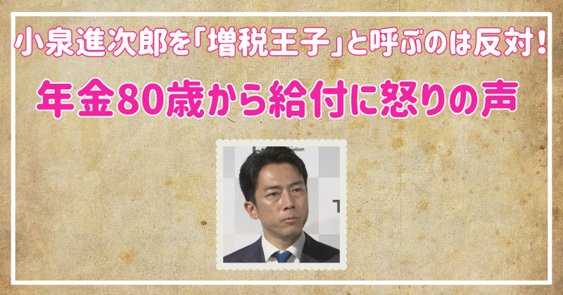 小泉進次郎を「増税王子」と呼ぶ理由！年金80歳から給付に怒りの声