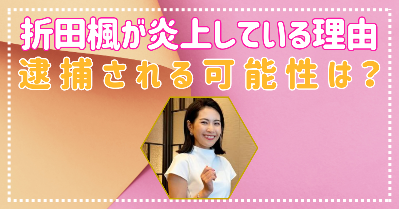 折田楓が炎上している理由をわかりやすく解説！公職選挙法違反で逮捕される？