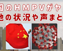 中国　HMPV　ヤバイ