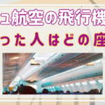 チェジュ航空の飛行機事故で助かった人がどの座席だったか調べてみた