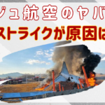 チェジュ航空にヤバい噂はなかった？バードストライクが原因はウソ？