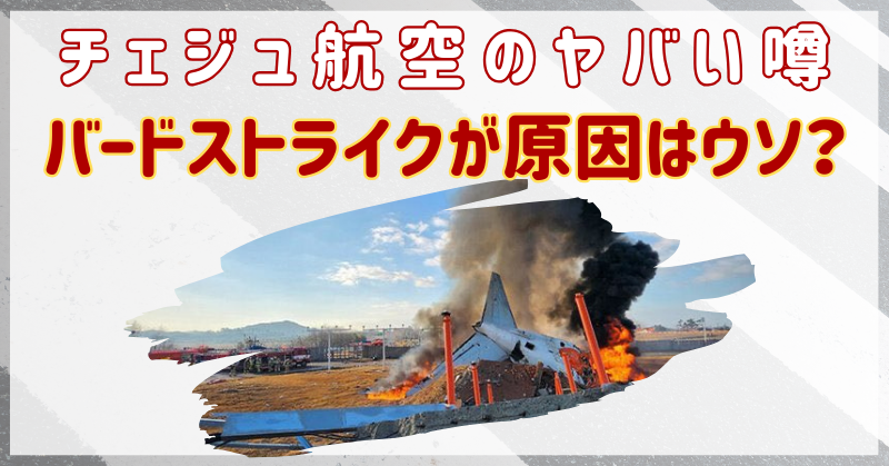 チェジュ航空にヤバい噂はなかった？バードストライクが原因はウソ？