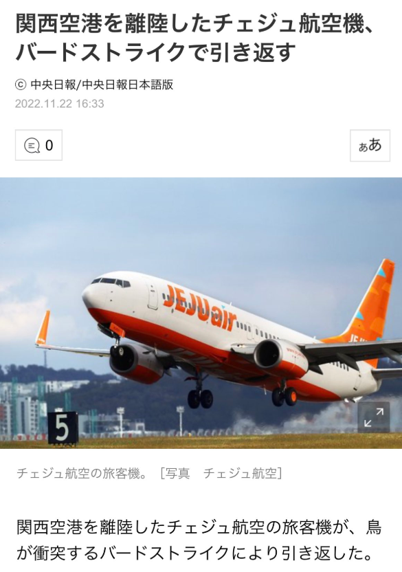 チェジュ航空　バードストライク