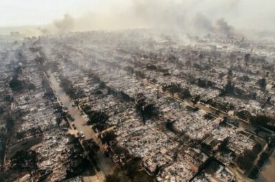 ロサンゼルス　火事　証拠隠滅