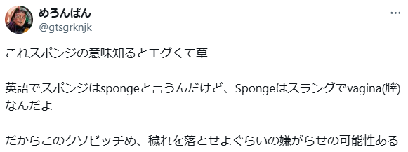 スポンジのスラングの意味