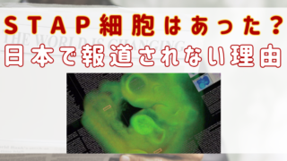 STAP細胞　日本で報道されない理由