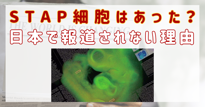 STAP細胞　日本で報道されない理由