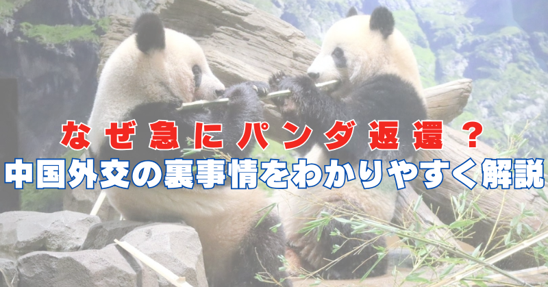 パンダ返還　なぜ　中国外交　裏事情