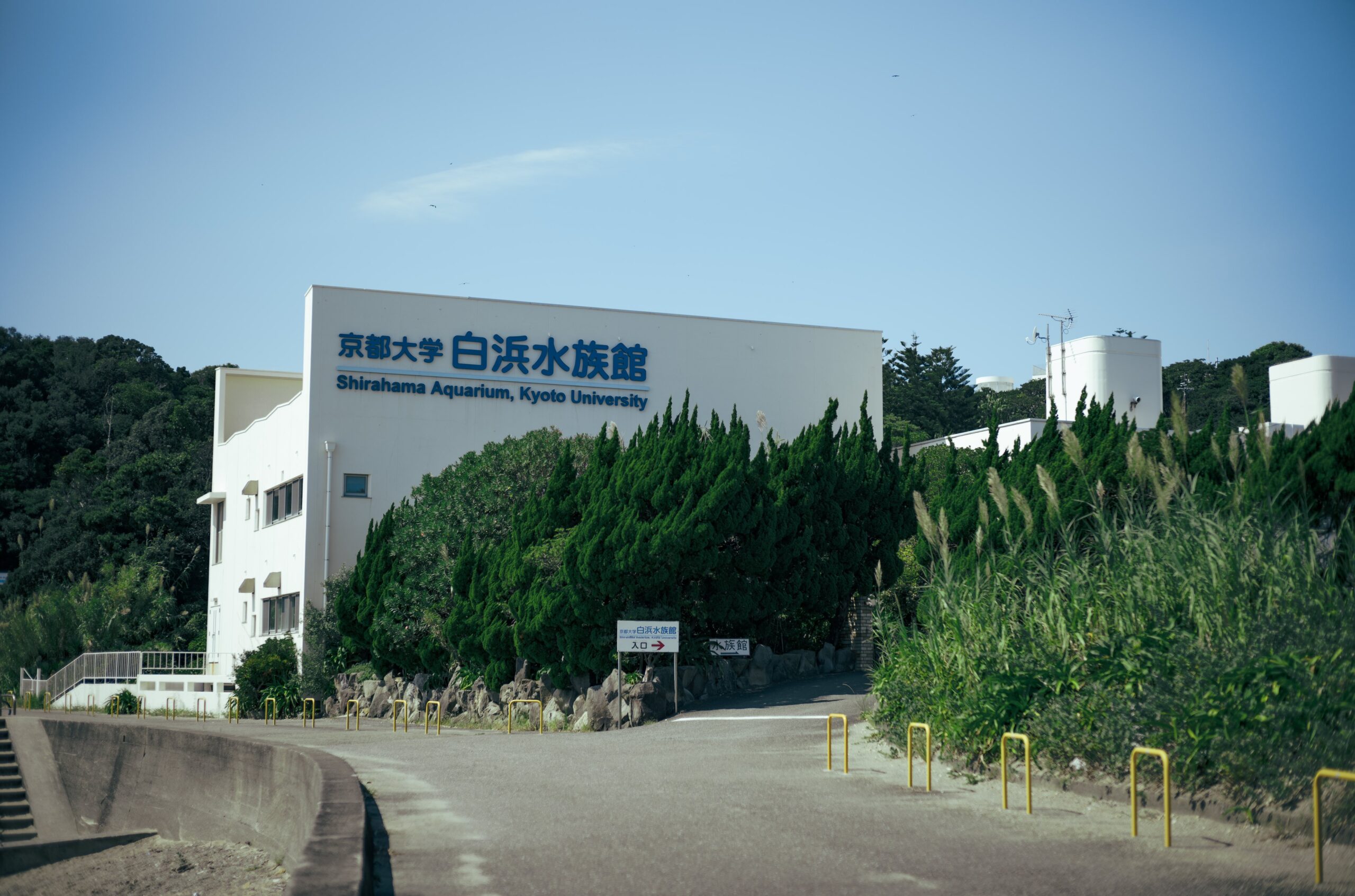 京都大学白浜水族館