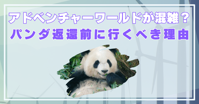 アドベンチャーワールド GW2025　パンダ　混雑