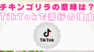 チキンゴリラ　意味　TikTok