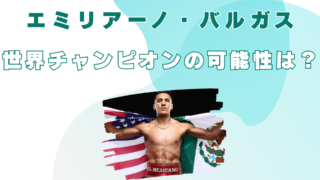 エミリアーノ・バルガス　　世界チャンピオン　実力