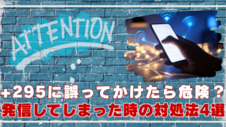 ＋295　危険　どこの国