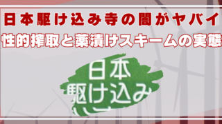 日本駆け込み寺　闇　薬　性的搾取　