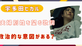 宇多田ヒカル　夫婦別姓　政治　意味