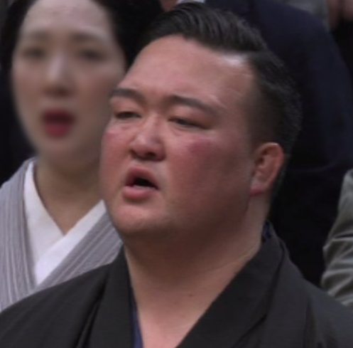稀勢の里　大の里　親方