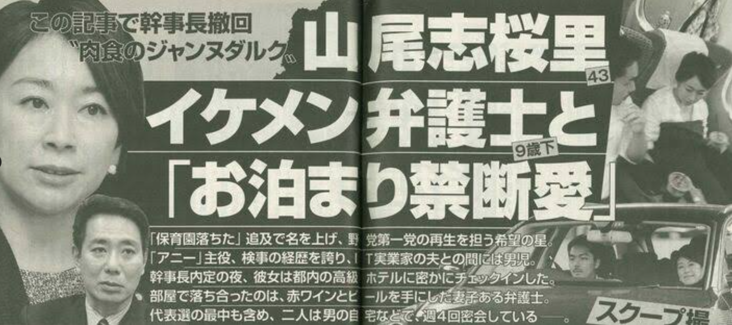 山尾しおり　何した
