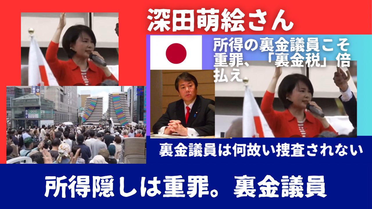 深田萌絵　内乱罪　刑事告発　なぜ　逮捕
