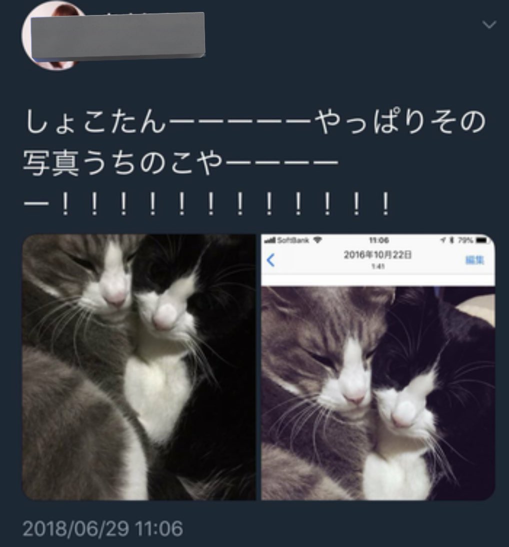 中川翔子　炎上　エピソード