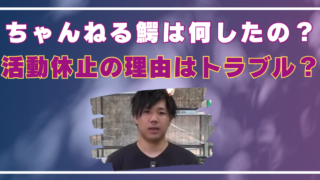 ちゃんねる鰐　何した　活動休止の理由は