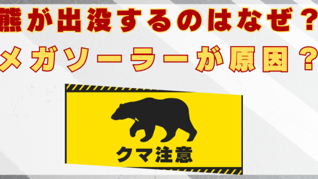 熊　メガソーラー　原因