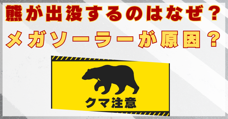 熊　メガソーラー　原因