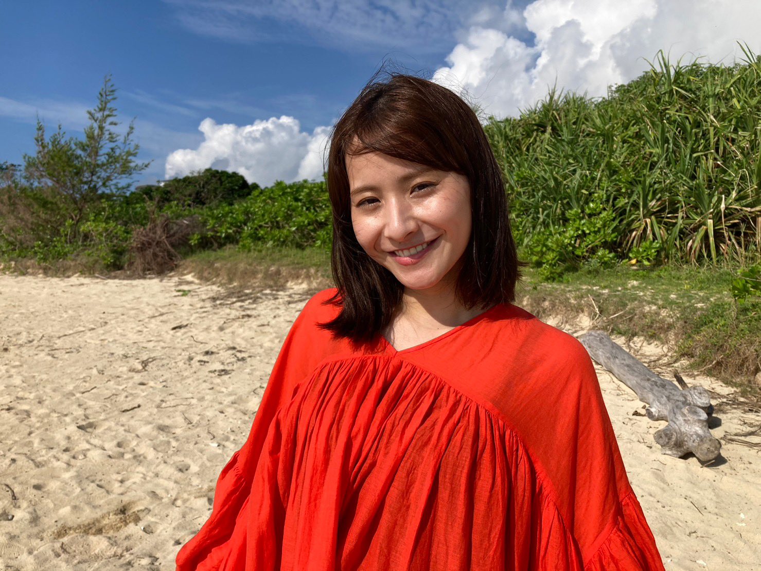 比嘉梨乃　wiki　経歴
