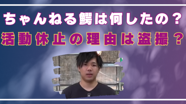 ちゃんねる鰐　何したの　活動休止　理由　盗撮