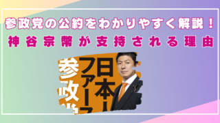 参政党　公約　わかりやすく