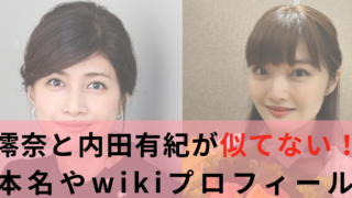 澪奈　内田有紀　妹　似てない