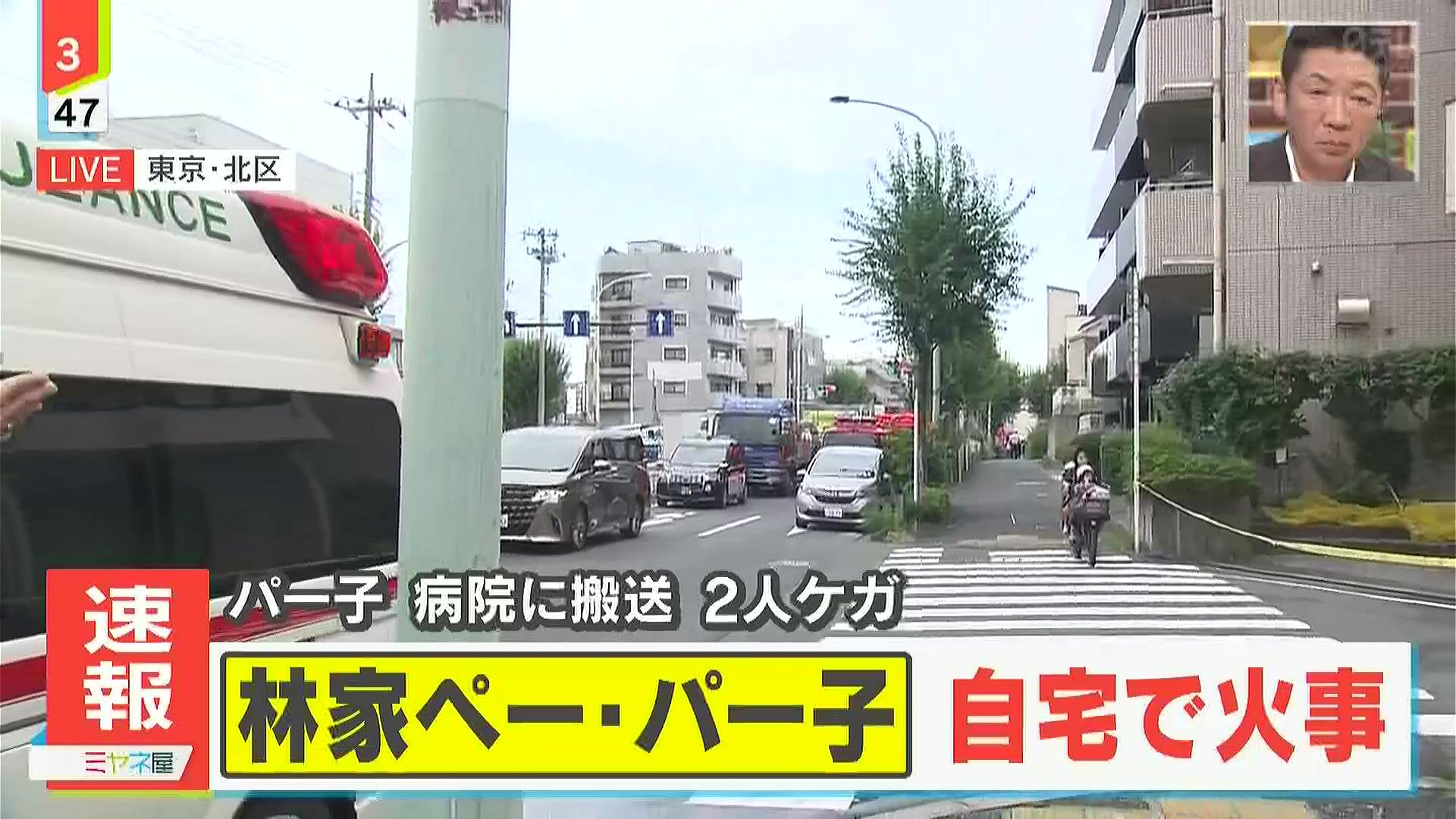 林家ペーパー子　　自宅マンション