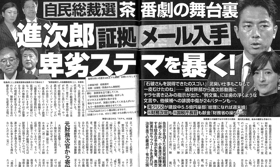 ビジネスエセ保守 意味　わかりやすく　誰