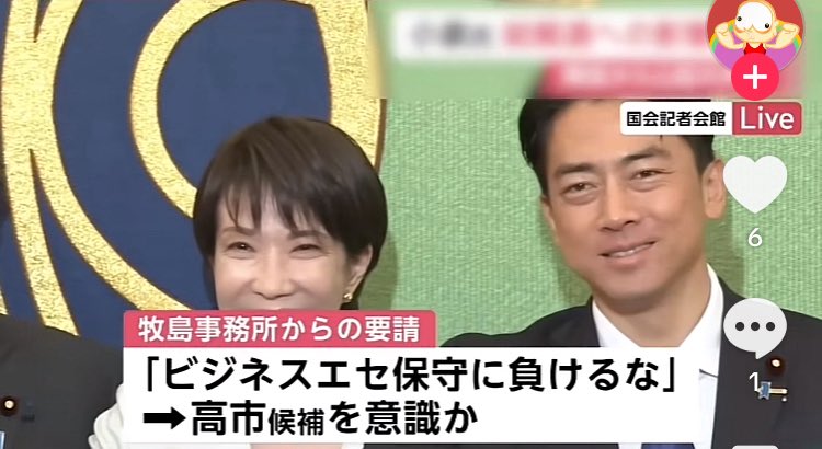 ビジネスエセ保守　誰のこと　意味　わかりやすく