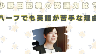 小野田紀美　英語力　かわいい　母親