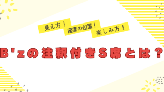 B'Z　注釈付きS席とは　見え方　座席の位置　楽しみ方　あたり　はずれ　