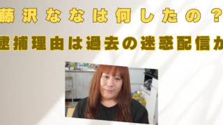 藤沢なな　何したの　逮捕理由　迷惑配信