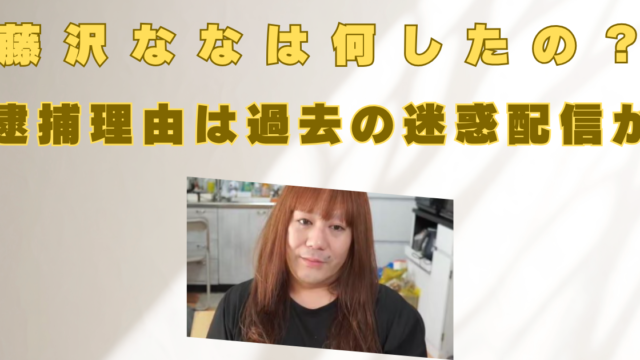 藤沢なな　何したの　逮捕理由　迷惑配信