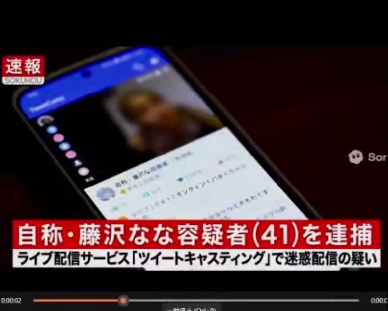 藤沢なな　何した　逮捕理由