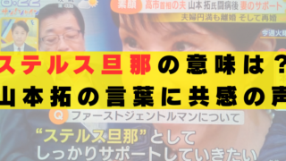 ステルス旦那 意味 山本拓 高市早苗