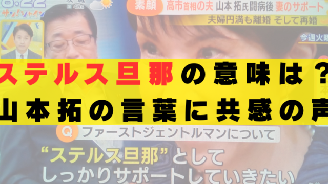 ステルス旦那　意味　山本拓　高市早苗　