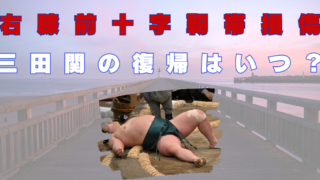 三田関　ケガ　復帰　いつ　