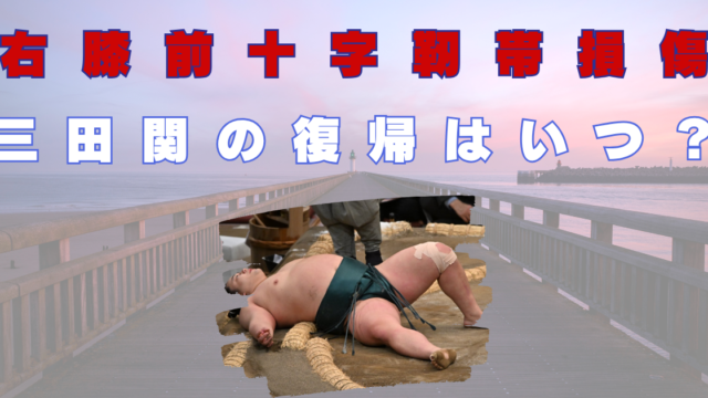 三田関　ケガ　復帰　いつ　