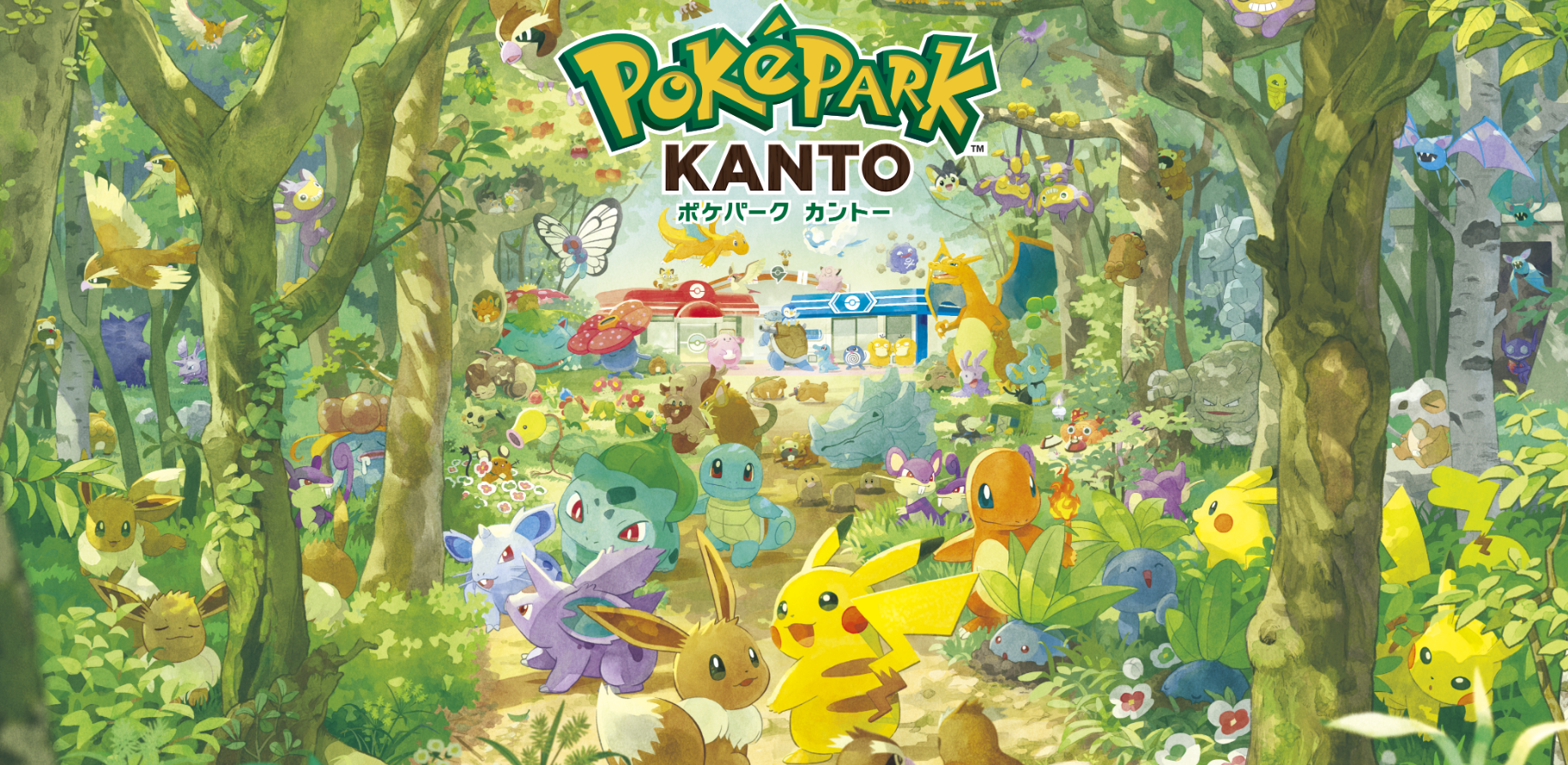 ポケパーク　カントー　抽選　次回