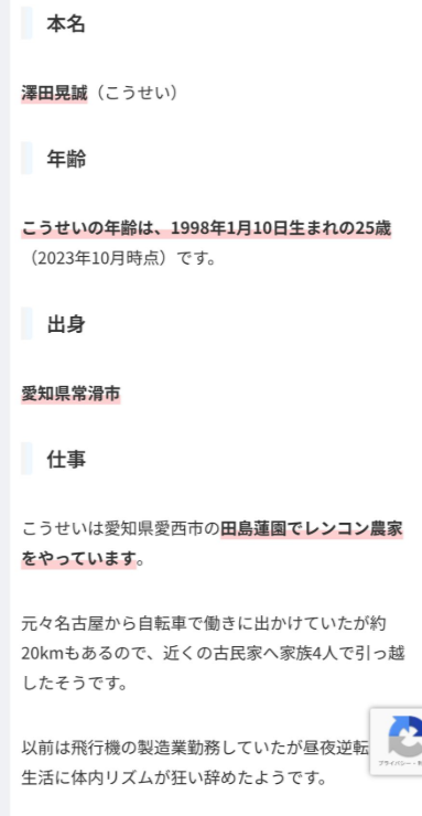 こうせい　ポンコツらいす　プロフィール　学歴