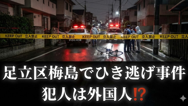 足立区　ひき逃げ　犯人　外国人　名前　顔　公表されない理由