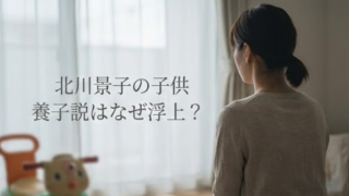 北川景子の子供に養子説はなぜ？ドラマ役柄や3つの理由