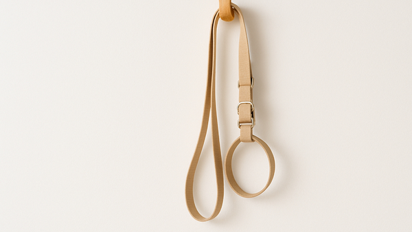 酒田南高校のいじめ加害者の実名特定は？首輪イメージ